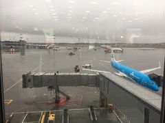 -谢列梅捷沃国际机场