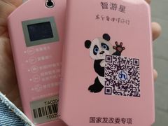 -都江堰中华大熊猫苑