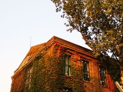 -中央戏剧学院(东城校区)