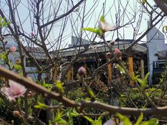 -桃园盛宴·岭南粤菜·手工茶点(南庄店)