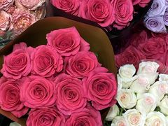 -双季花艺园艺市场(浦东店)