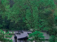 -深圳国际园林花卉博览园