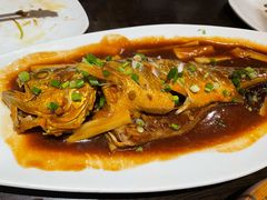 -老牌坊鲁菜名店(聊城美食岛店)
