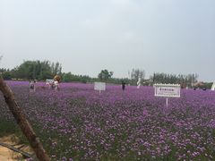 -渔岛海洋度假区