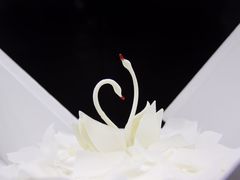 -BLACKSWAN黑天鹅(环球店)