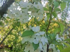 -昆山城市生态森林公园