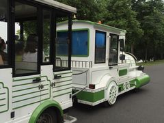 观光小火车-橘子洲景区