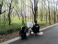 -同里国家湿地公园