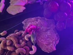 -星河吉酒店-BOND大堂吧·咖啡·简餐