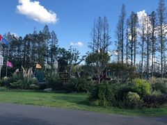 -上海长兴岛郊野公园