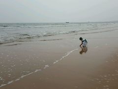 -日照海滨国家森林公园