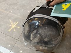 -半岛宠物医院24小时(西派城店)