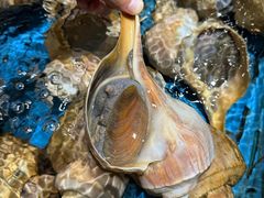 -荣誉海鲜酒楼(海湾店)