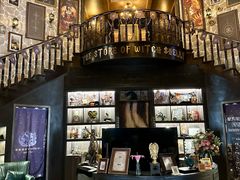-雪灵魔法世界SHELLY’S TAROT(大良桂畔里店)