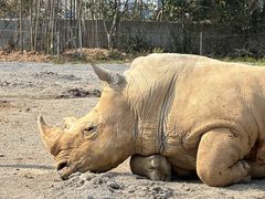 -宁波野生动物园