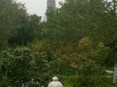 -西海子公园