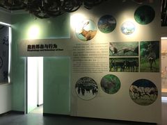 -北京麋鹿生态实验中心