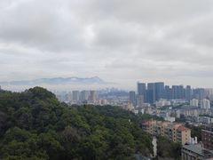 -福道