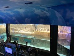 -成都浩海立方海洋公园