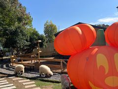 -HERRE·FARM 赫尔露营农场·团建聚会包场