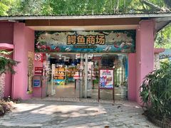 -广州长隆飞鸟乐园