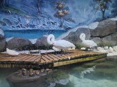 -海合安青岛极地海洋公园