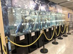 -连城·新天地(福华一路店)