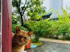 -迎泽公园