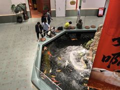 -永红源啤酒·烧烤·海鲜·大排档(台柳路店)