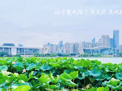 -月湖风景区