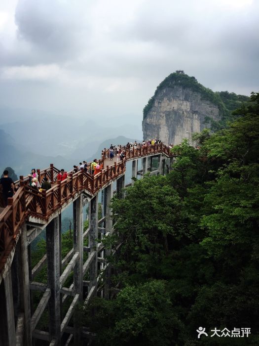 张家界景点图片(张家界景点图片 最美)