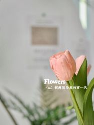 -JONMAVIN·美学
