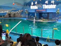 -苏州海洋馆