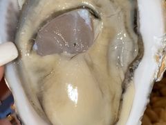 -千岛蚝高压锅生蚝·人参火锅(白云万达店)