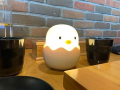 -DM CHICKEN 分米鸡