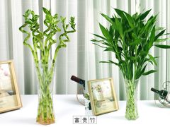 -研筑国际设计事务所(总店)