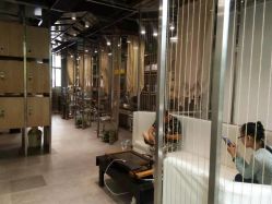 -MAGIC米几发型设计·羊毛卷