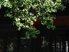 -雨花胜境