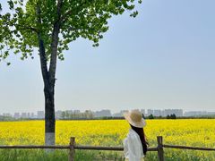 -汉长安城未央宫国家考古遗址公园