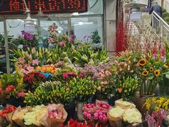 -曲阳花鸟市场(曲阳路店)
