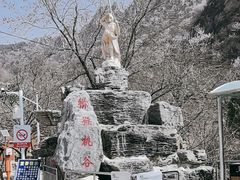 -大岭沟猕猴桃谷风景区