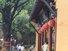 -赭山公园