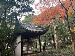 -汇龙潭