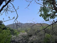 -十三陵水库