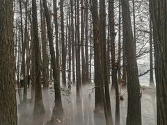 -东湖落雁景区
