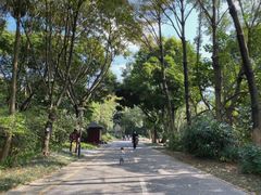 -深圳国际园林花卉博览园