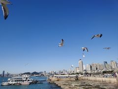 -星海湾跨海大桥