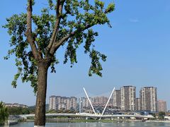 -映月湖中央公园