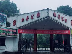 -洛阳市牡丹公园