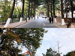 -青岛第二海水浴场